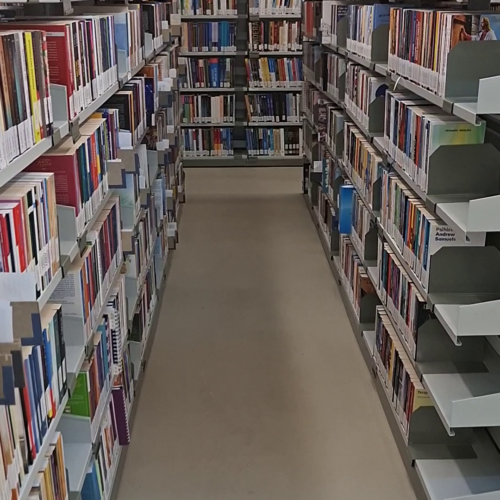 vlcsnap-2026-03-27-11h12m49s412