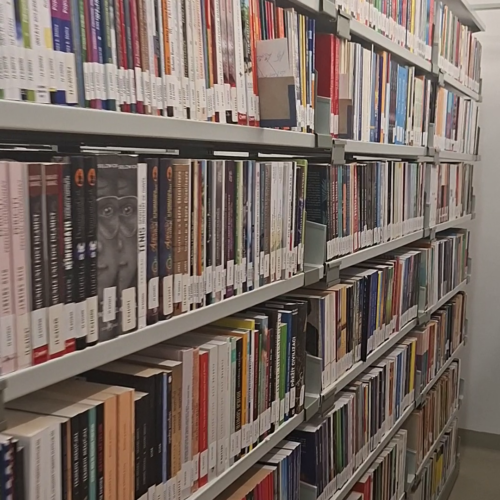 vlcsnap-2026-03-27-11h13m07s078