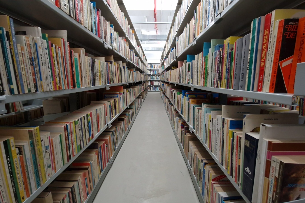 SDL - Legislație (1)